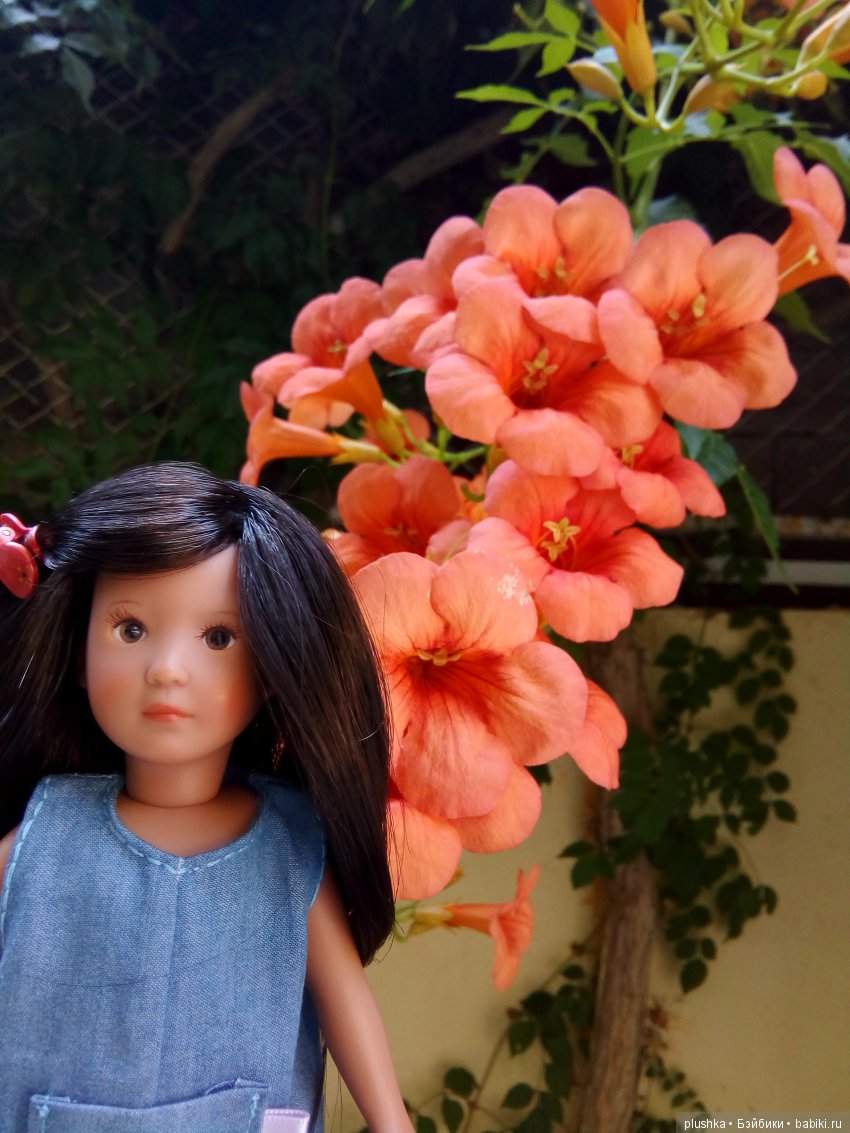 Виллоу от minis Kidz n Cats на море побывала (фото 2)