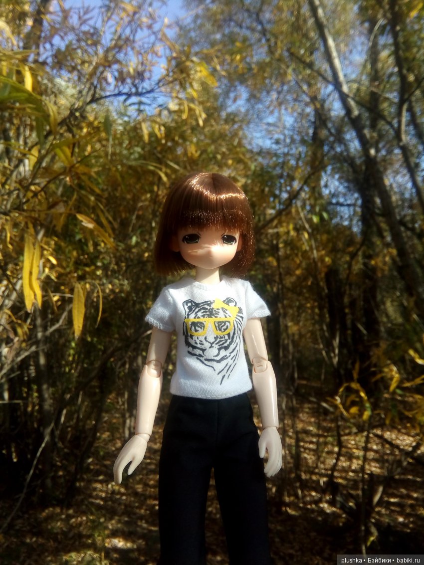 Прогулка Алисы. Куколка mamachap на теле обитсу