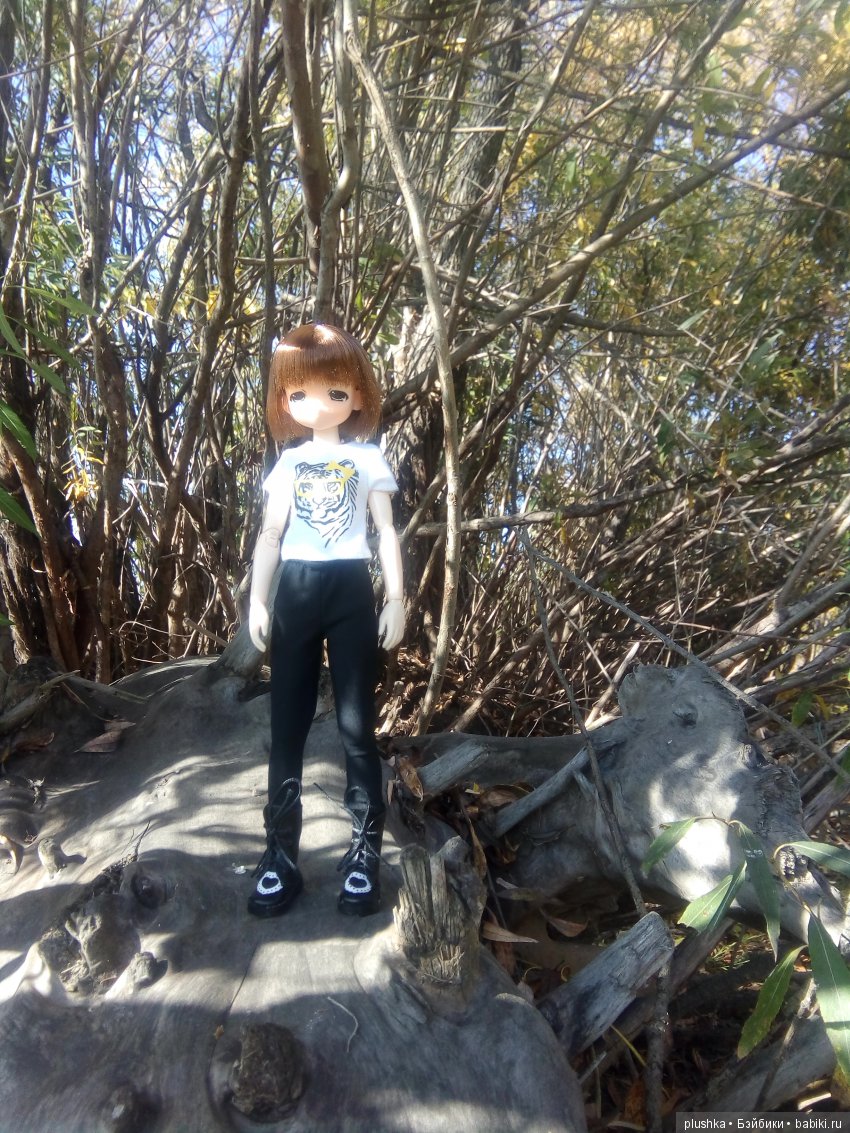 Прогулка Алисы. Куколка mamachap на теле обитсу