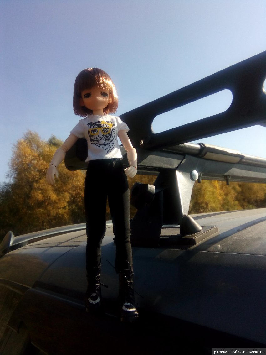 Прогулка Алисы. Куколка mamachap на теле обитсу
