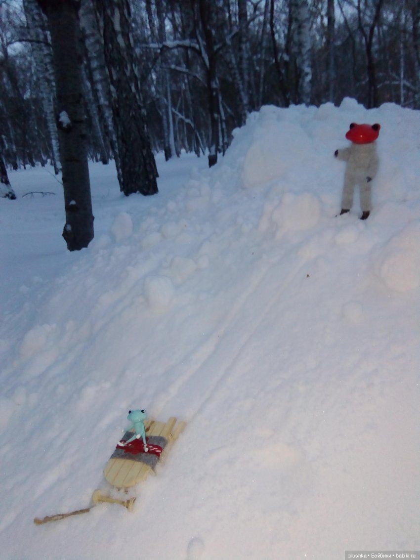 Мои лягушата. Wonder frog и зима