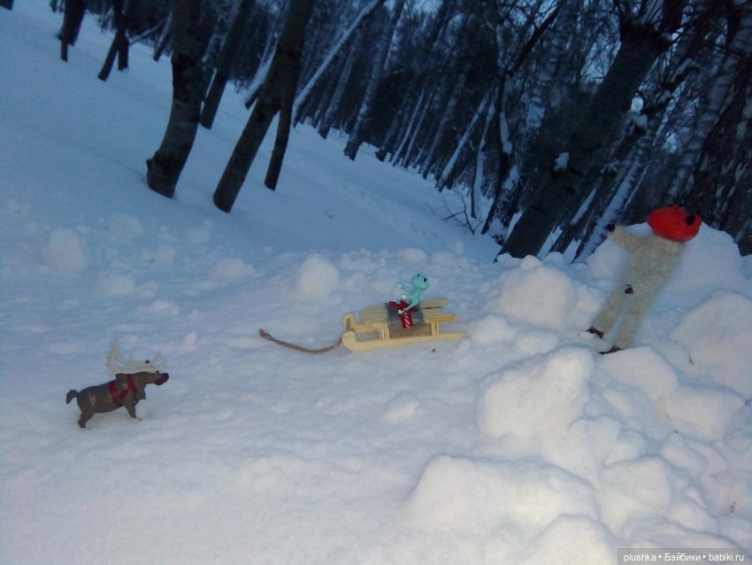 Мои лягушата. Wonder frog и зима