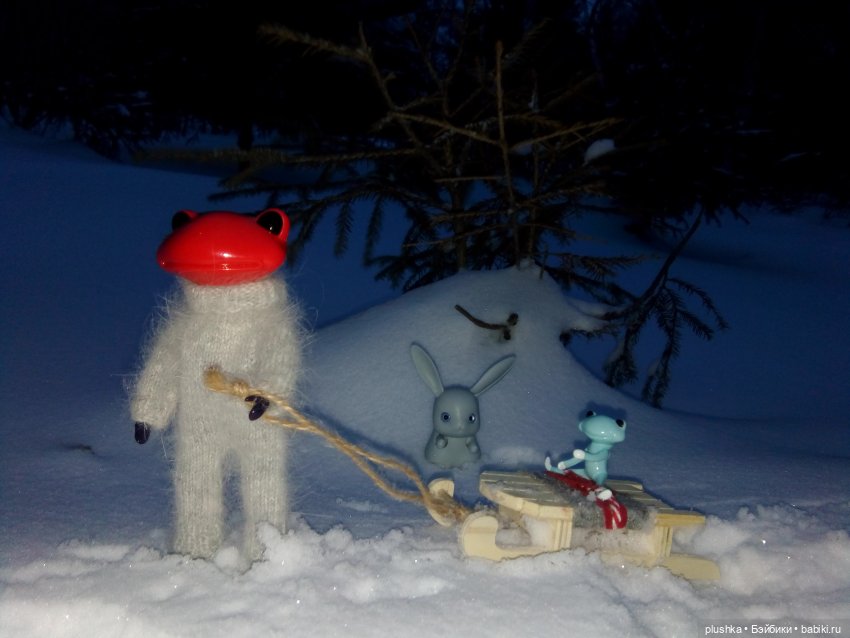 Мои лягушата. Wonder frog и зима