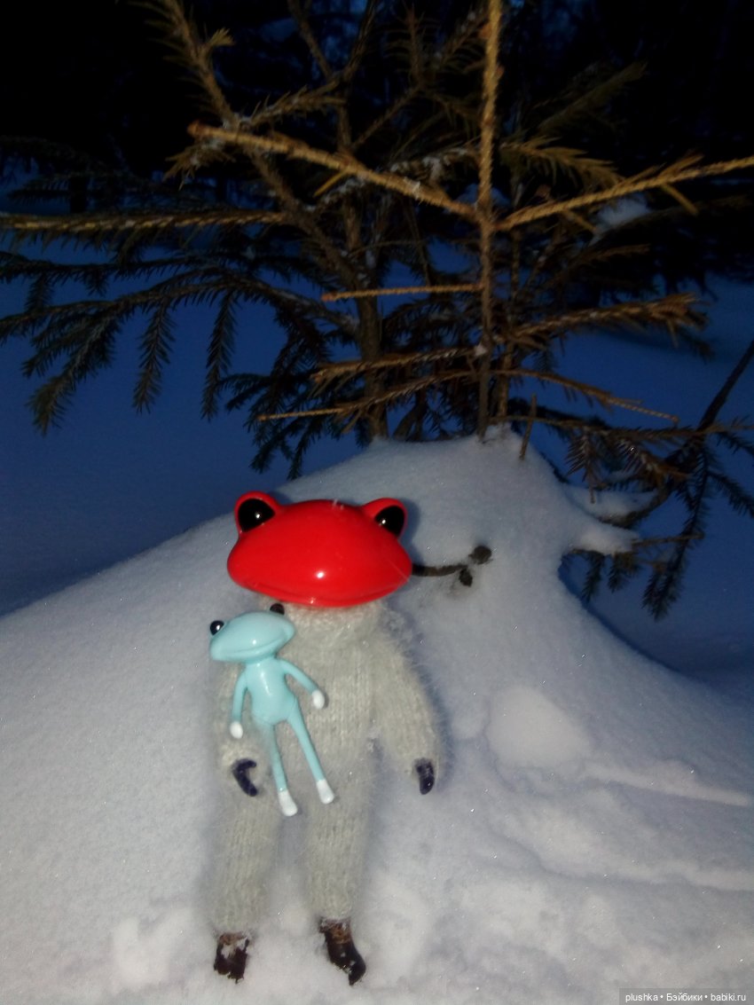 Мои лягушата. Wonder frog и зима