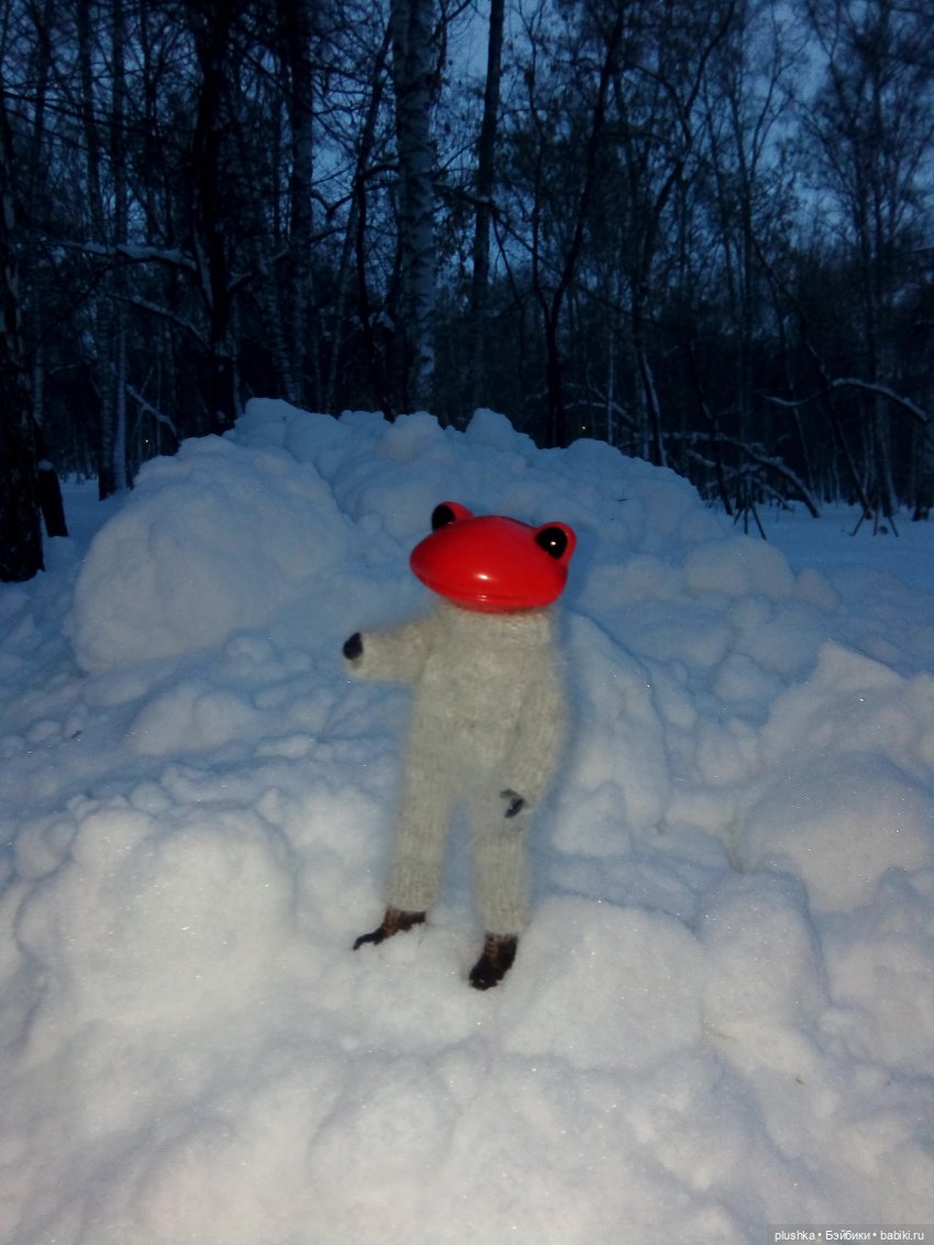 Мои лягушата. Wonder frog и зима