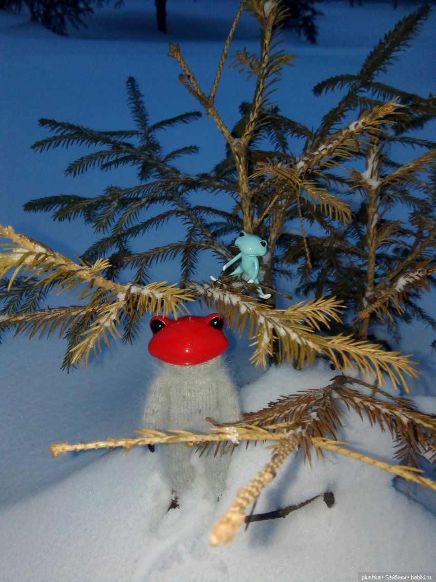 Мои лягушата. Wonder frog и зима
