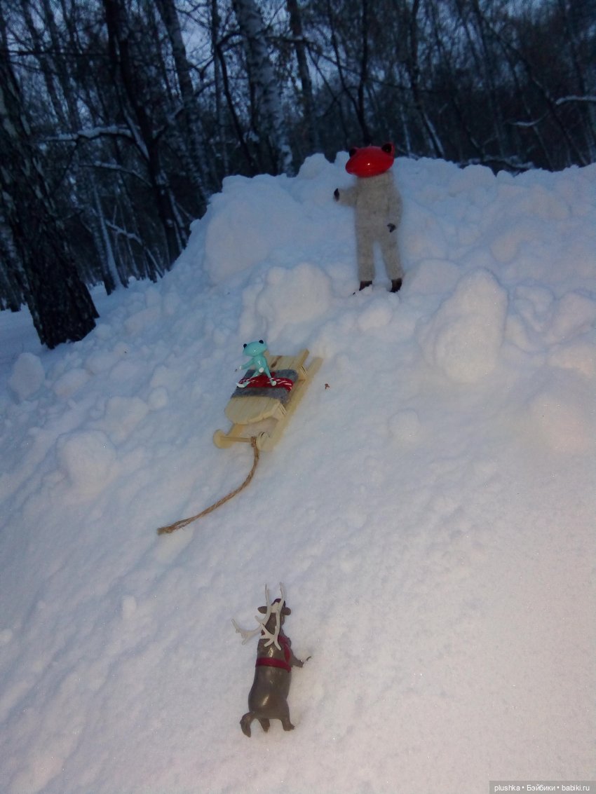 Мои лягушата. Wonder frog и зима