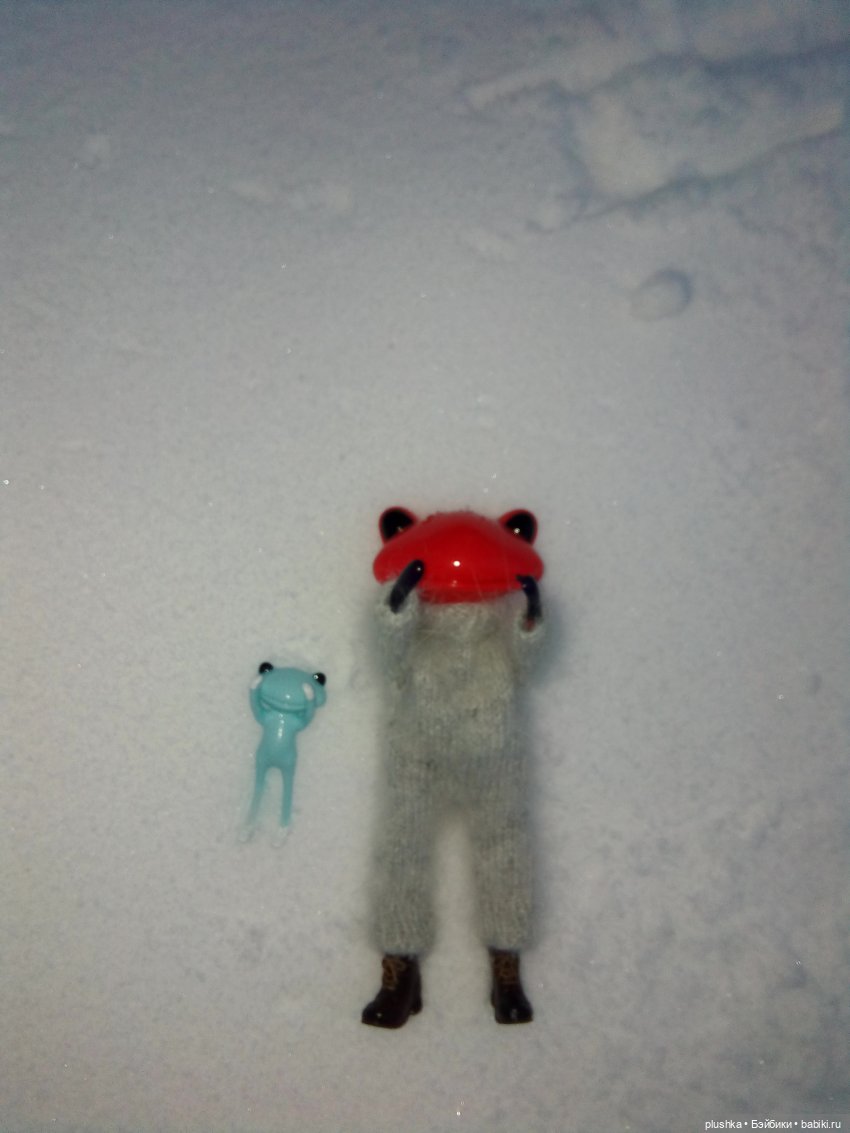 Мои лягушата. Wonder frog и зима