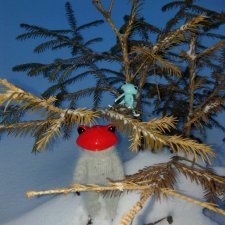 Мои лягушата. Wonder frog и зима