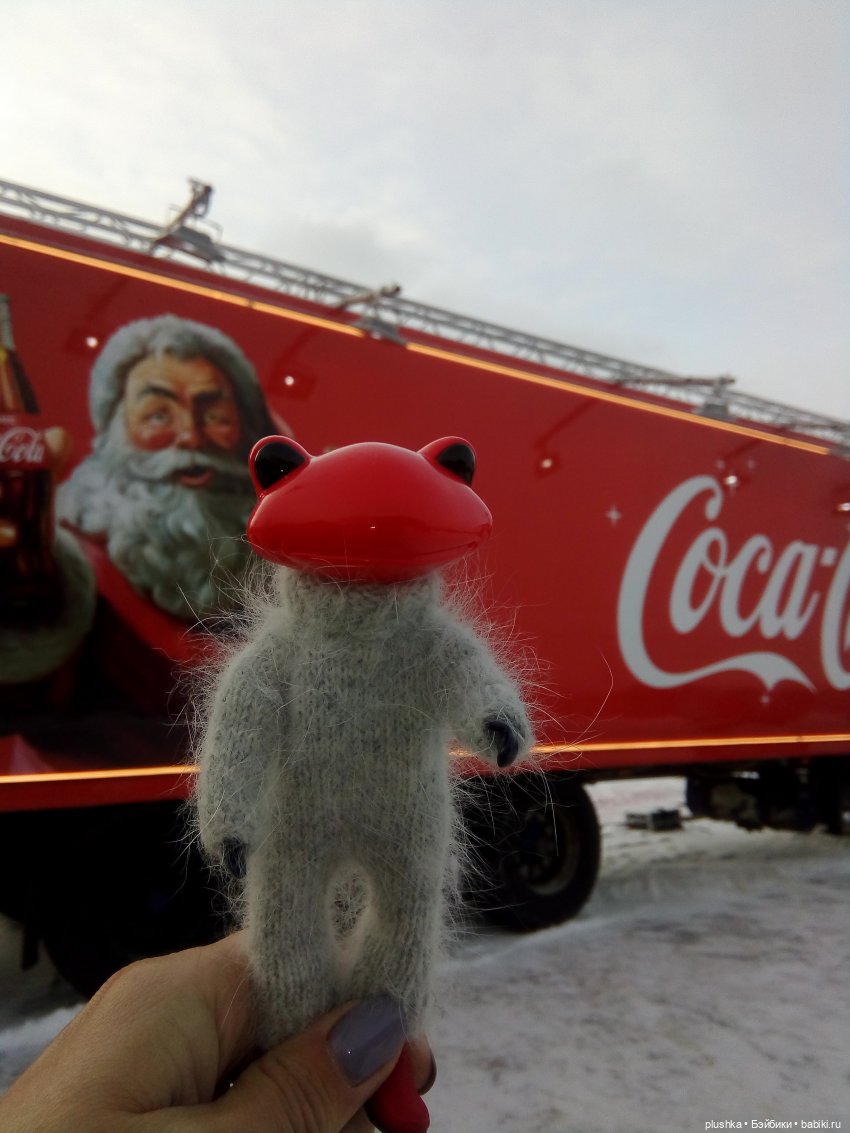 Мои лягушата. Wonder frog и зима (фото 5)