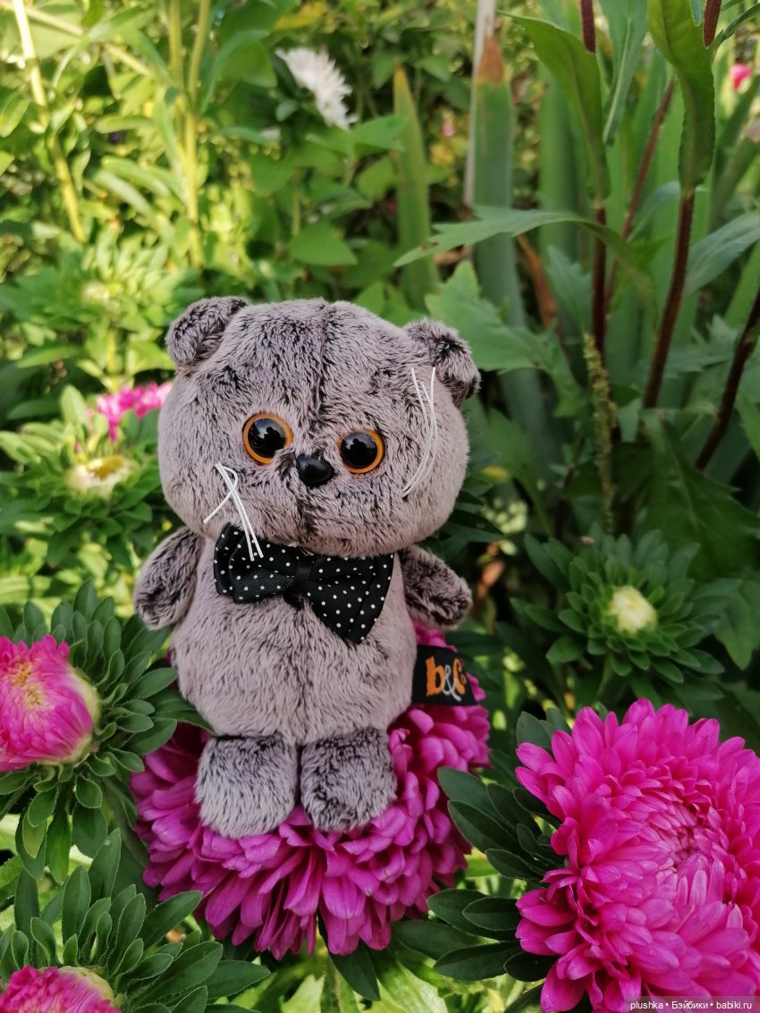 Микро Басик. Котик-брелок от BUDI BASA (фото 6)