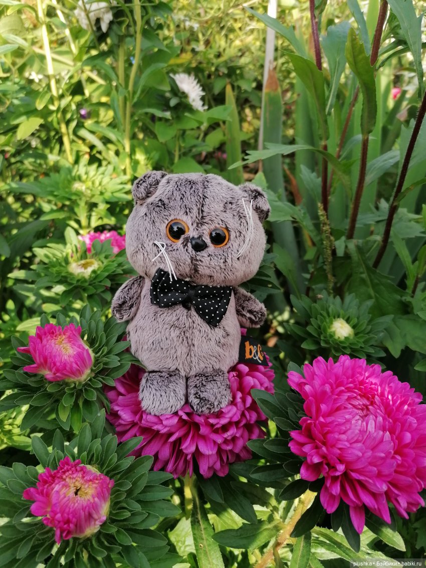 Микро Басик. Котик-брелок от BUDI BASA (фото 7)