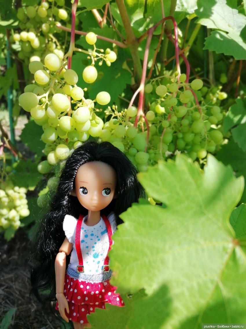 Мой идеальный гибрид. Головка redberrydoll