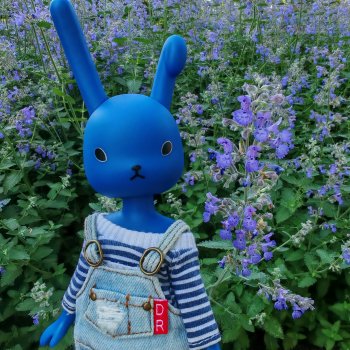 Синий кролик usaggie Bunny Blue от petworks