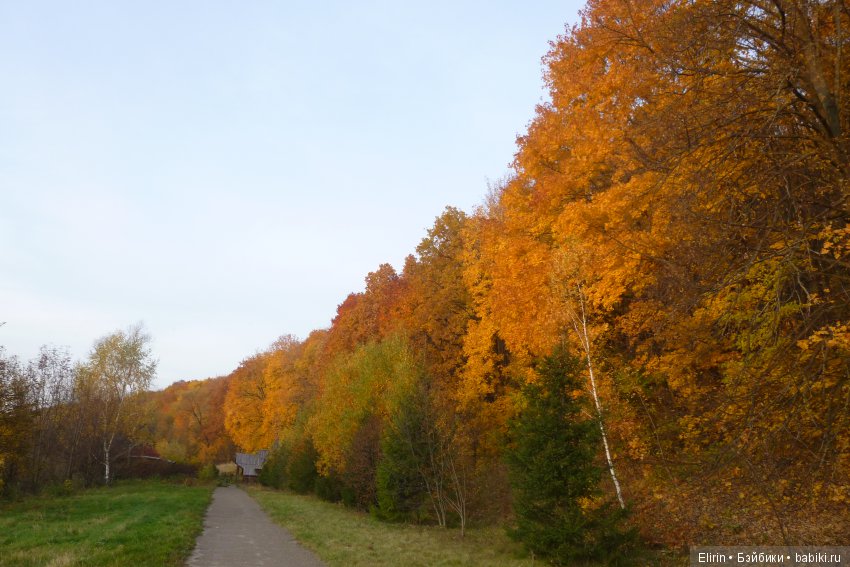 Земля. Отпуск на четверых. День первый (фото 3)