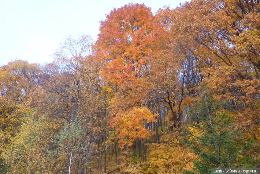 Земля. Отпуск на четверых. День первый (фото 5)