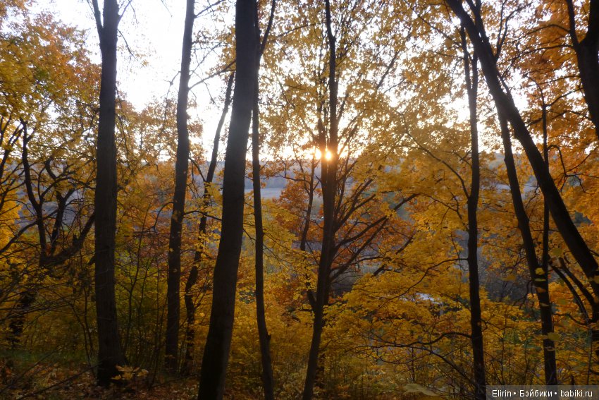 Земля. Отпуск на четверых. День первый (фото 6)