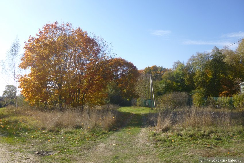 Истории Земли. Отпуск на четверых. День второй