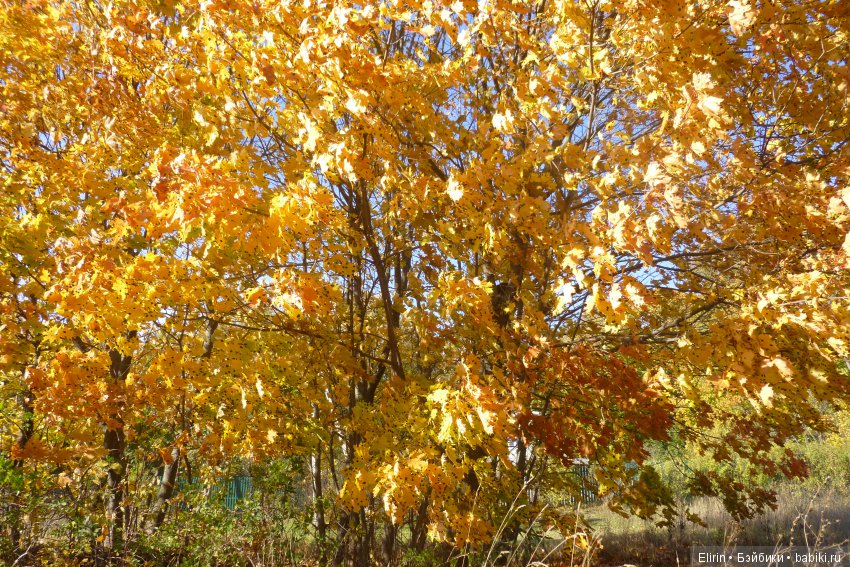 Истории Земли. Отпуск на четверых. День второй (фото 3)