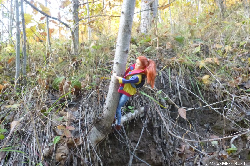 Истории Земли. Отпуск на четверых. День второй