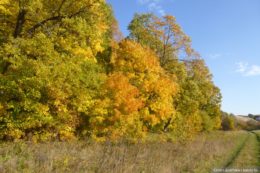 Истории Земли. Отпуск на четверых. День второй