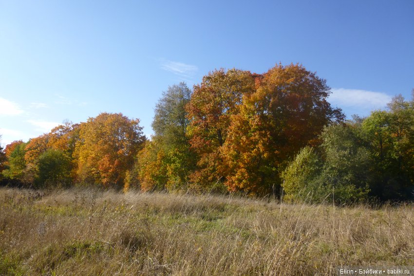 Истории Земли. Отпуск на четверых. День второй (фото 4)