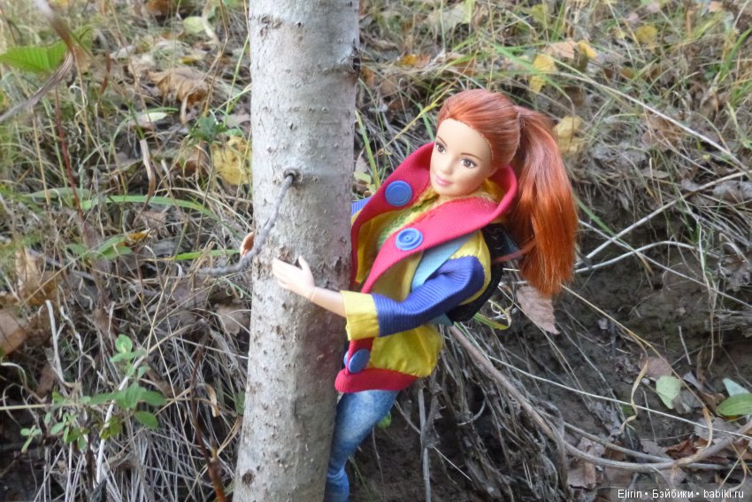 Истории Земли. Отпуск на четверых. День второй