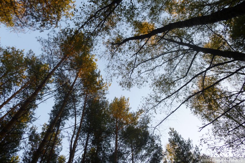 Истории Земли. Отпуск на четверых. День второй