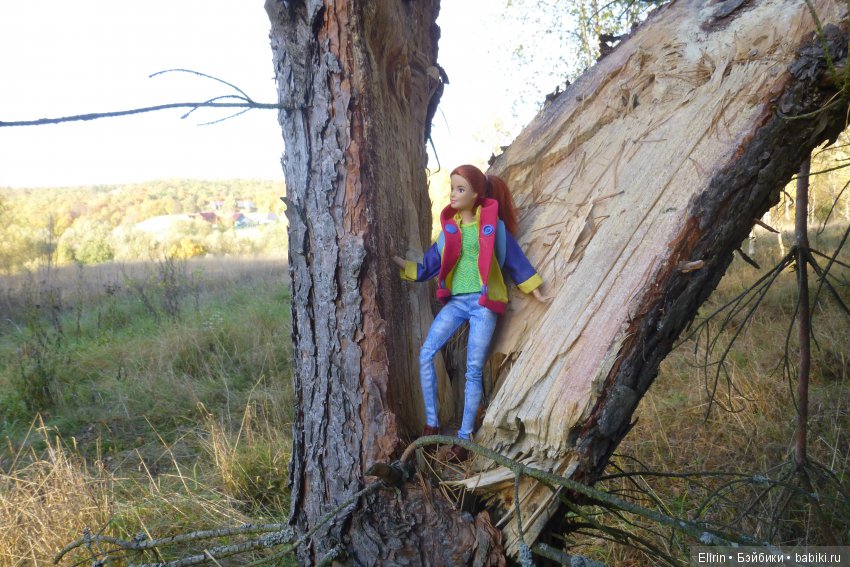 Истории Земли. Отпуск на четверых. День второй