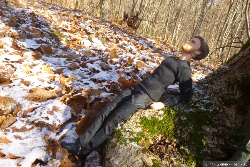 Истории Земли. Сон, который был наяву (фото 4)