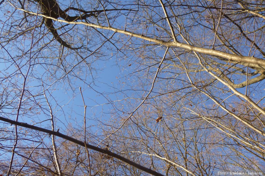 Истории Земли. Сон, который был наяву