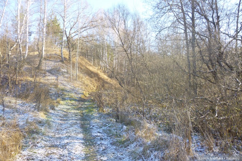 Истории Земли. Сон, который был наяву