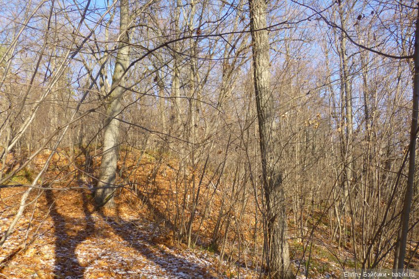 Истории Земли. Сон, который был наяву