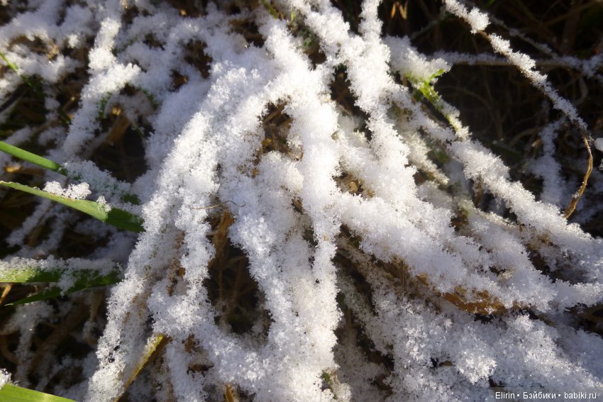 Истории Земли. Сон, который был наяву