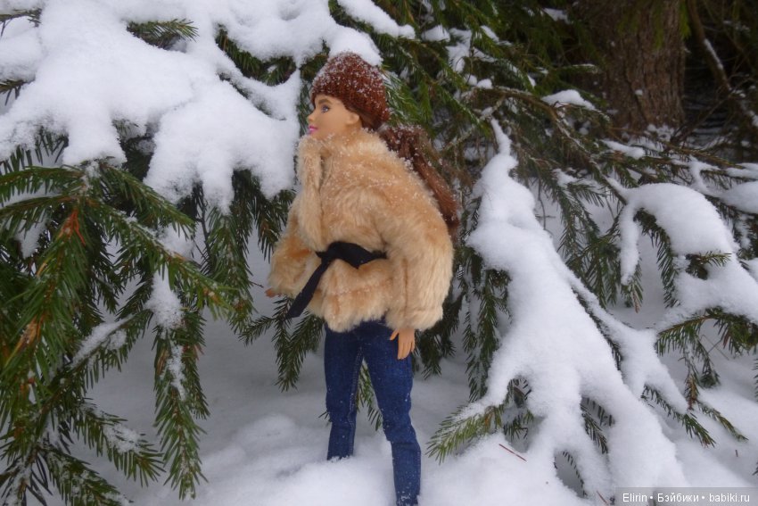 Истории Земли. Зимний сад, зимний лес и немного чудес