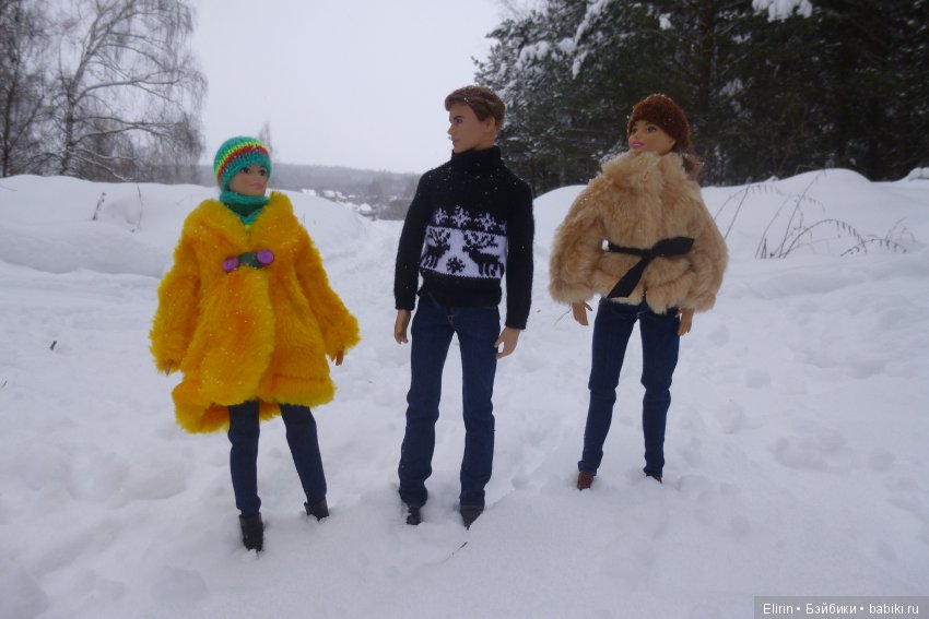 Истории Земли. Зимний сад, зимний лес и немного чудес (фото 5)