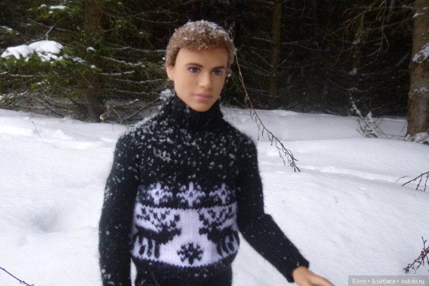 Истории Земли. Зимний сад, зимний лес и немного чудес