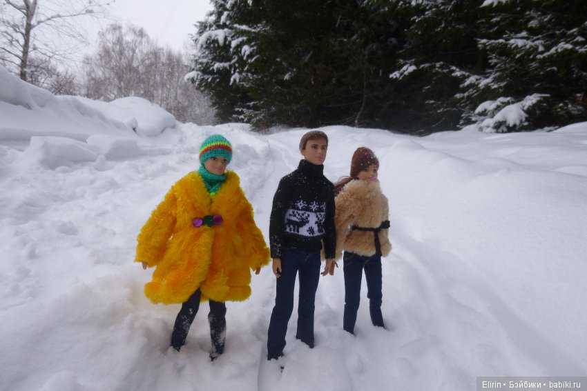 Истории Земли. Зимний сад, зимний лес и немного чудес (фото 9)