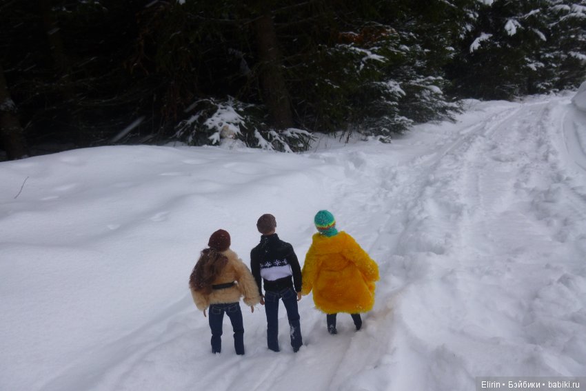 Истории Земли. Зимний сад, зимний лес и немного чудес (фото 7)