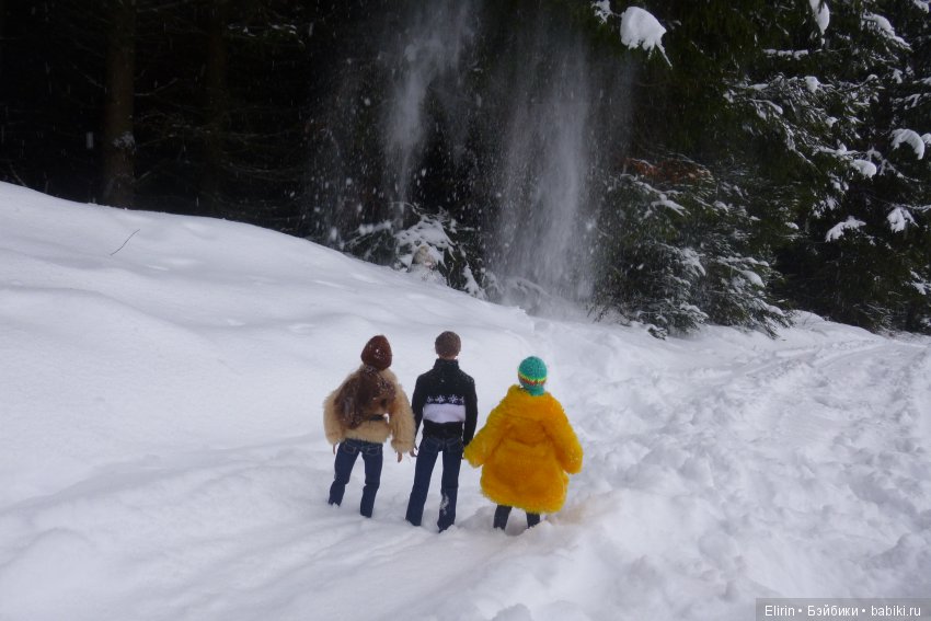 Истории Земли. Зимний сад, зимний лес и немного чудес (фото 10)