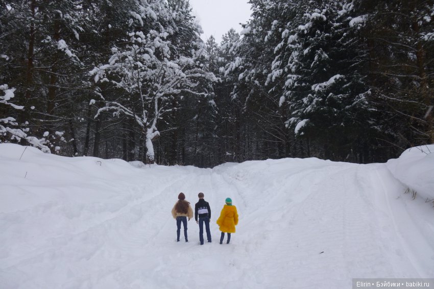 Истории Земли. Зимний сад, зимний лес и немного чудес (фото 3)