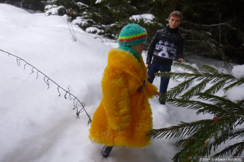 Истории Земли. Зимний сад, зимний лес и немного чудес