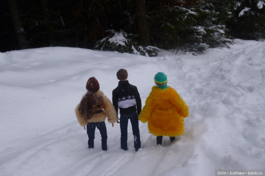 Истории Земли. Зимний сад, зимний лес и немного чудес