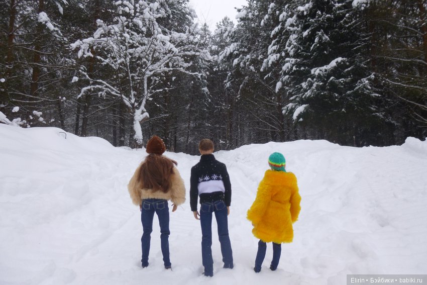 Истории Земли. Зимний сад, зимний лес и немного чудес (фото 4)