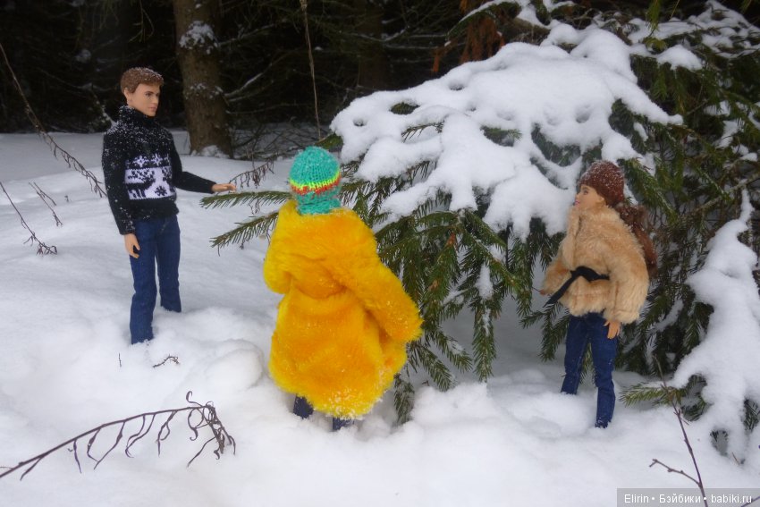 Истории Земли. Зимний сад, зимний лес и немного чудес