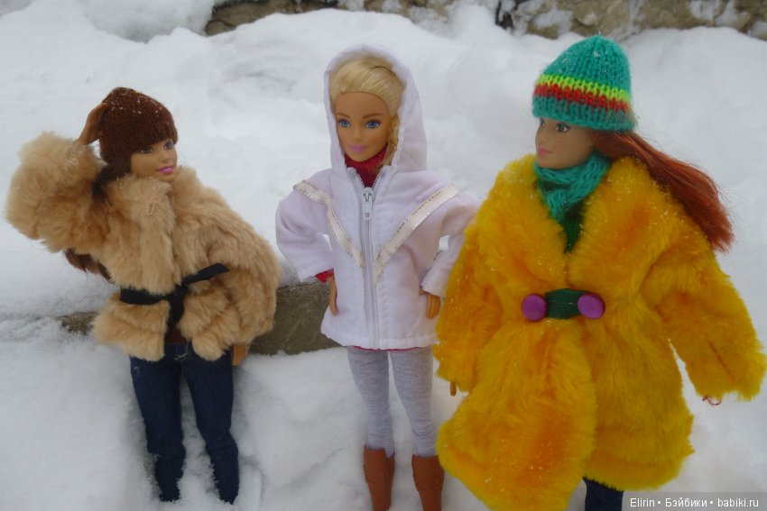 Истории Земли. Зимний сад, зимний лес и немного чудес (фото 2)