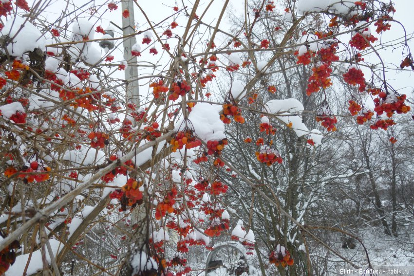 Истории Земли. Традиции и оговорки