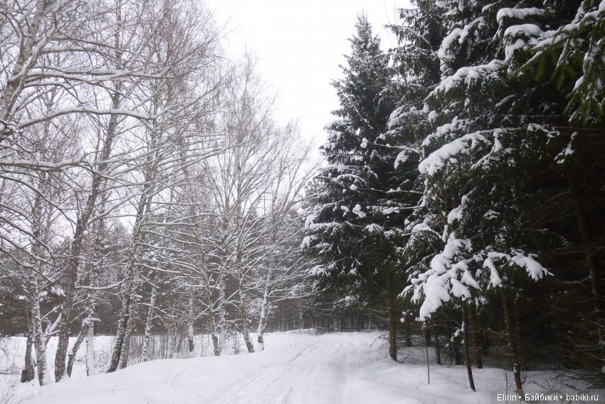 Истории Земли. Домашний вечер (фото 10)