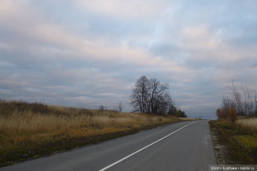 Жизненно важное умение — Проба пера: рассказы (фото 8)
