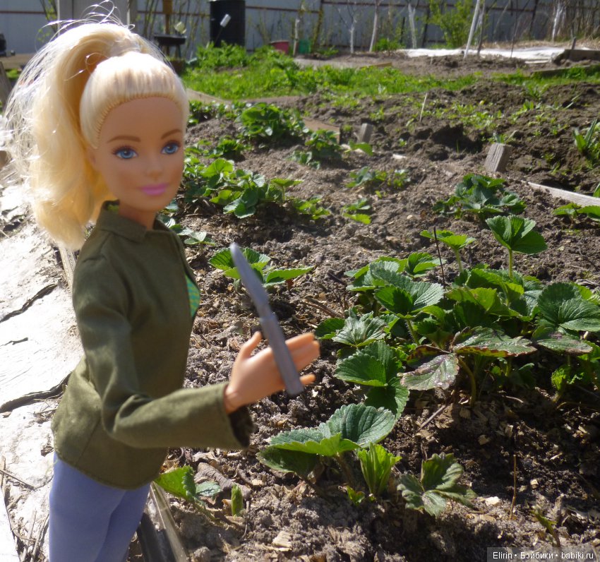 Истории Земли. Первомай — Проба пера: рассказы (фото 3)